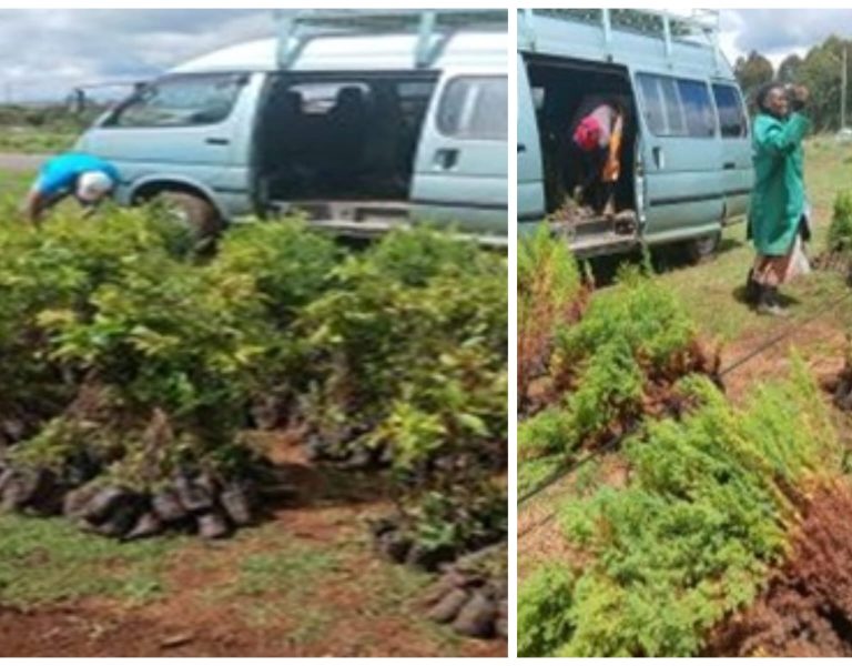 From Survival to Sustainability: The Impact of ERRIL Project.