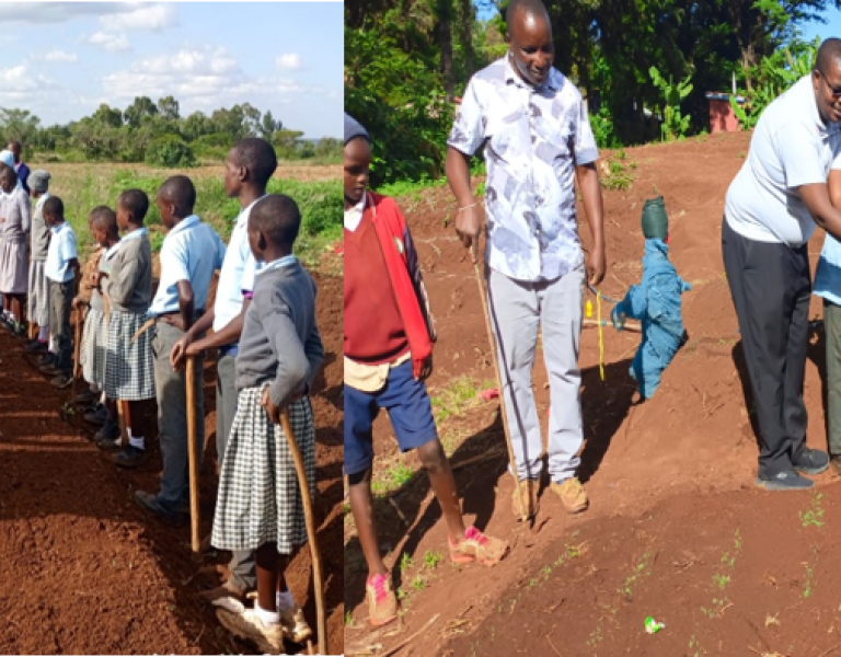 Growing Knowledge, Changing Perceptions: Agroecology in Schools